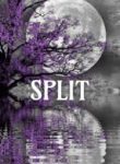 Split