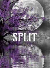 Split