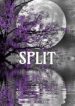 Split